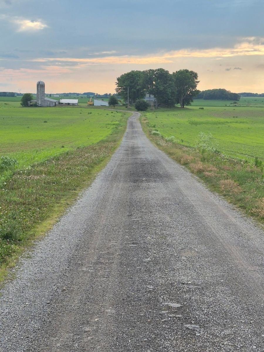 Gravel lane leading to a farm with a silo, barns and a house in the trees
